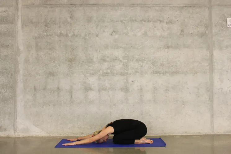 ONLINE-Präventionskurs: Yoga für Anfänger und Wiedereinsteiger mit Maitreya @ Yoga Vidya Bamberg