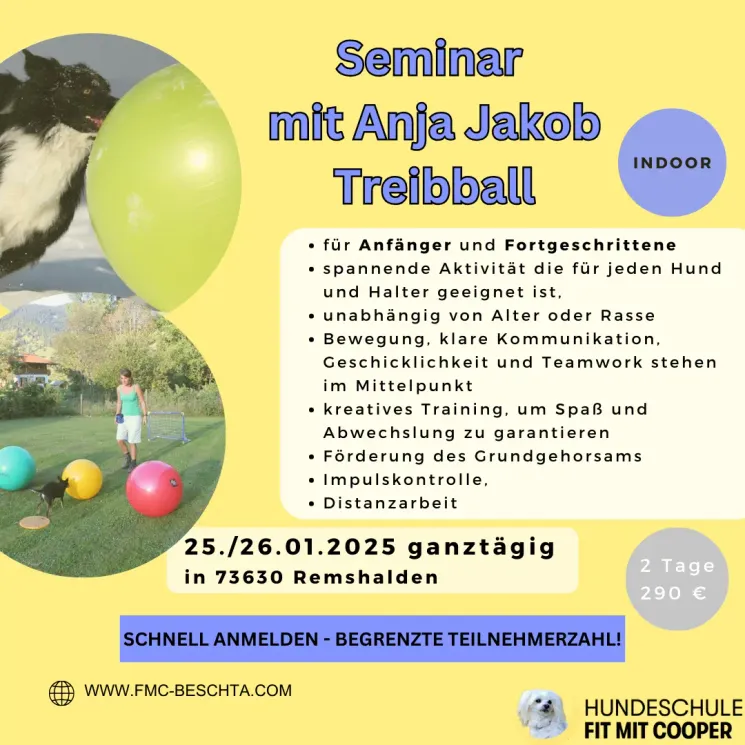 SEMINAR mit Anja Jakob - Treibball – Distanzarbeit, Geschicklichkeit und Impulskontrolle mit großen Gymnastikbällen @ Hundeschule Fit mit Cooper