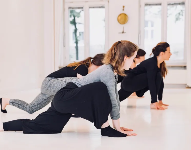 Yoga Neulinge Workshop Grundkenntnisse  @ Studio Tanzraum