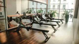 Dieser Anbieter hat keine Bildbeschreibung für dieses Bild hinterlegt