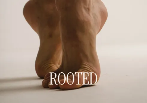 Le studio n'a pas fourni de description pour cette image