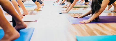Alignment based Hatha LIVE STREAM @ Yoga am Zürichberg