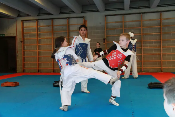 Cours Combat - PUP/DEB/MIN (7 à 11 ans) @ Sonbae Taekwondo Academy