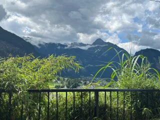 Dieser Anbieter hat keine Bildbeschreibung für dieses Bild hinterlegt