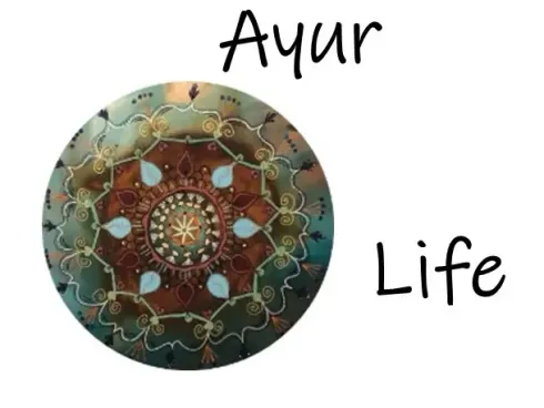 Vortrag: "Einblick in Ayurveda" @ SPIRHYT-Festival