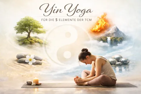 Le studio n'a pas fourni de description pour cette image