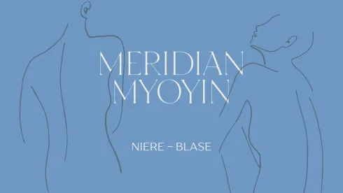 Meridian MyoYin Tiefe Regeneration: Niere -Blase @ Yoga Sky Berlin