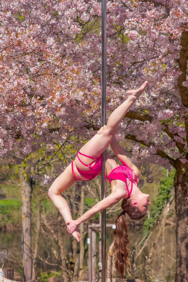 Pole Dance Beginner @ Pole Oase