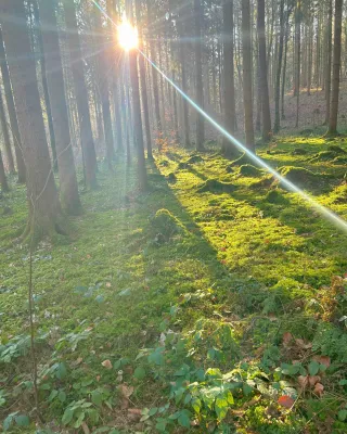 Dieser Anbieter hat keine Bildbeschreibung für dieses Bild hinterlegt