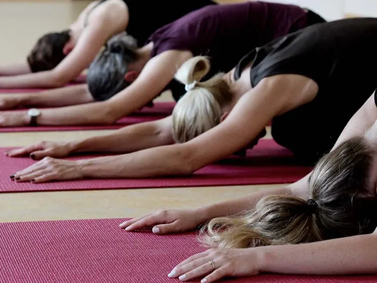 Hatha Yoga Grundlagenkurs mit Anne-Marie - Montag 18.00 Uhr @ Yoga Institut München