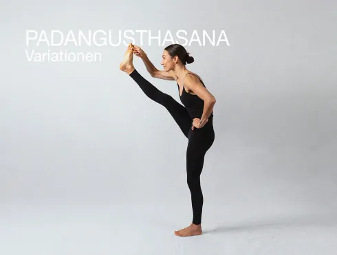 Dieser Anbieter hat keine Bildbeschreibung für dieses Bild hinterlegt