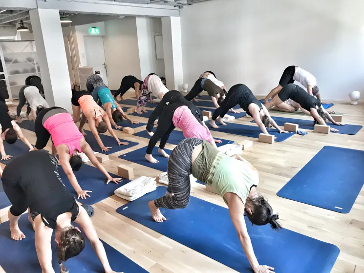 ONLINE | Vinyasa Intermediate @ Volta Yoga Basel