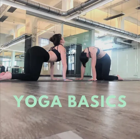 Yoga Basics @ Yogaloft Vienna