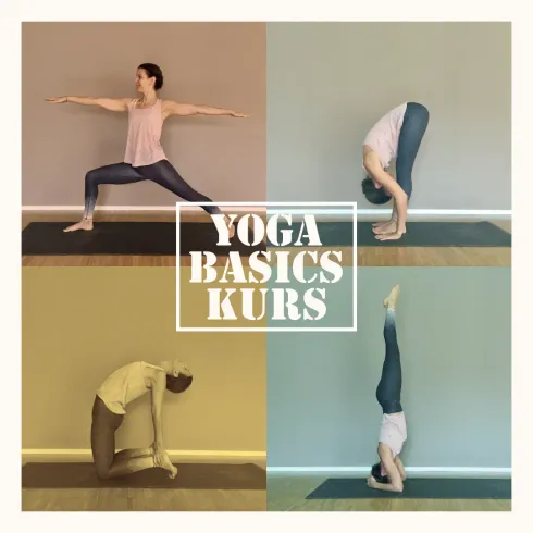 Yoga Basics Kurs @ Karl Straub Yoga Sanctuary