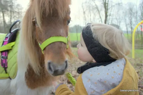 Longenzwerge 11 Uhr Winterkurs (2) @ Ponyschule Seelenpferdchen