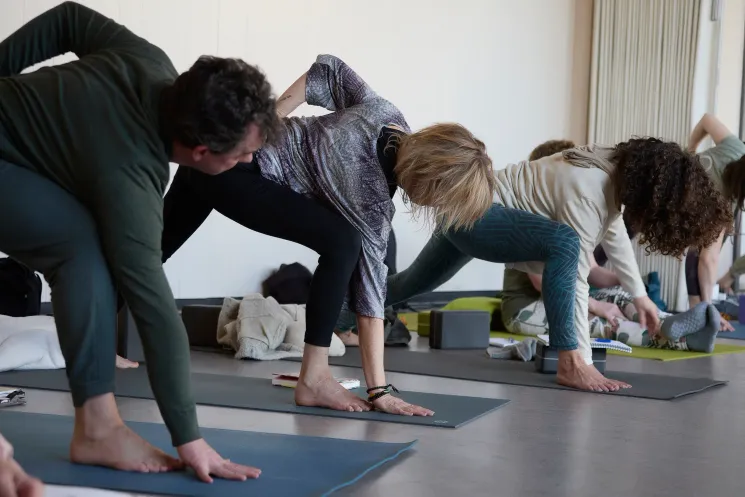 ONLINE | Easy Flow Yoga | 2026 @ Yogasite