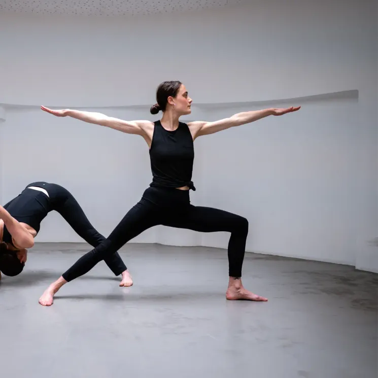 Dance Yoga ⎮Color Flow @ CITYOGA Darmstadt