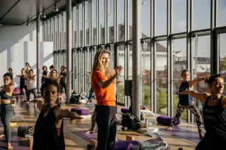 Dieser Anbieter hat keine Bildbeschreibung für dieses Bild hinterlegt