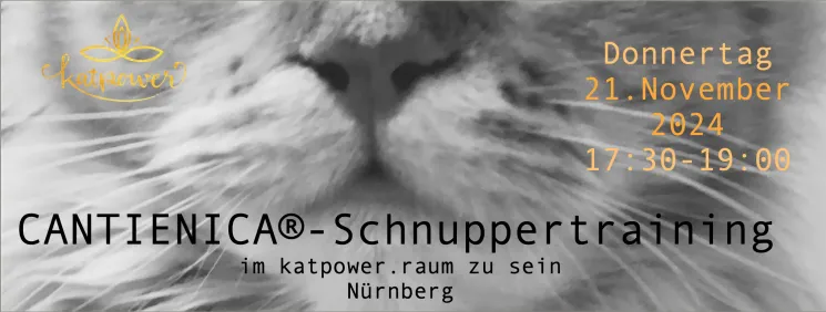 Schnuppertraining @ katpower . raum zu sein