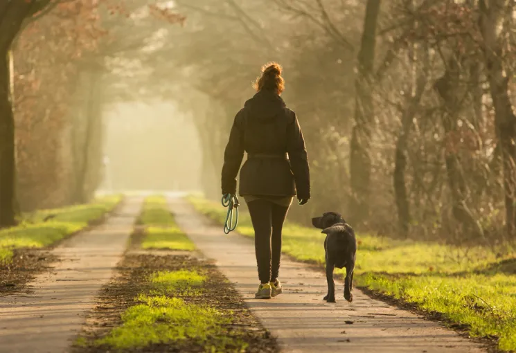 Abenteuer Spaziergang *alleine aber doch gemeinsam* @ Hundezentrum Studydogs