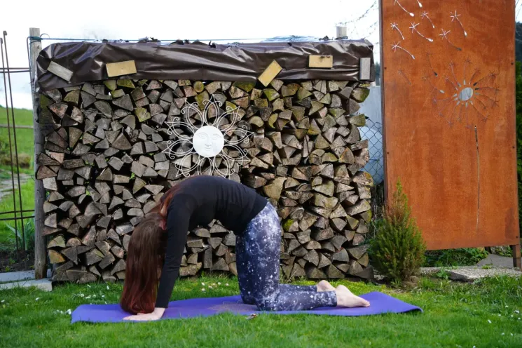 Curvy Yoga für Anfänger*innen @ Yogaschule Susann Vogel