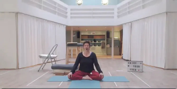 Relax & Renew Yoga - Gentle Level @ Yoga on Call Online