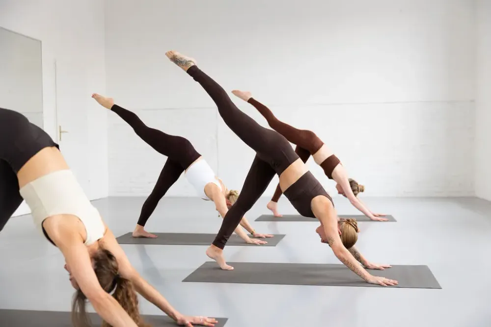 Just Yoga It - Audrey Hämmerle