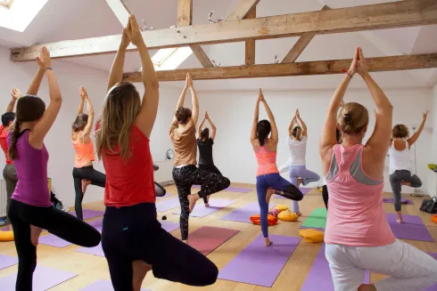 Online Class (60 min) Gentle Hatha Yoga @ Sampoorna Yoga Studio