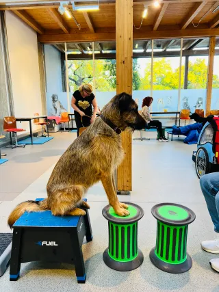 Dieser Anbieter hat keine Bildbeschreibung für dieses Bild hinterlegt