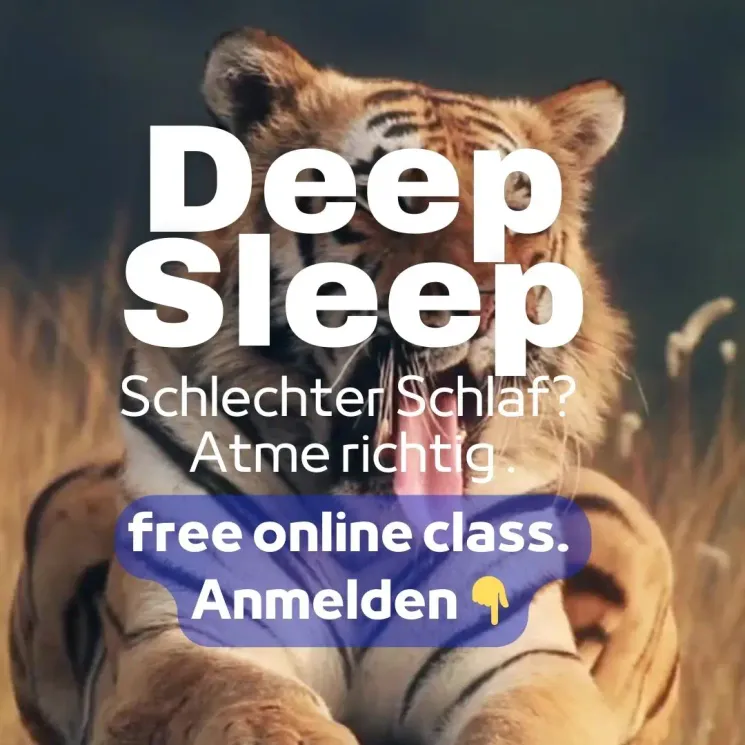 DEEP SLEEP / Free Online class / Schlechter Schlaf? Atme richtig. @ Elmar Meierzedt - handverstand / Breath- & Bodywork