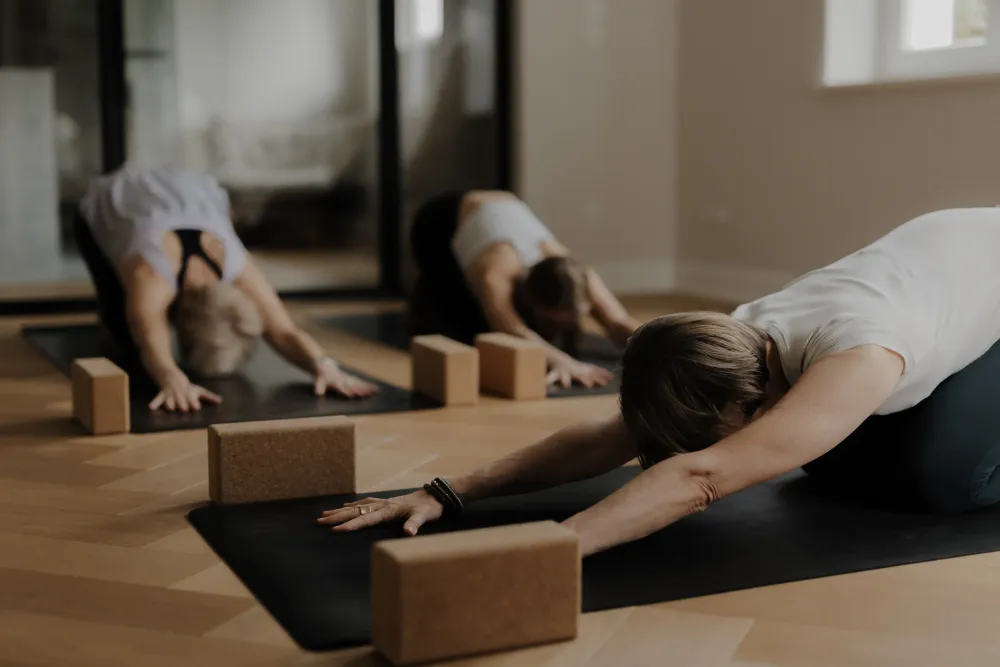 The Serene Style Yoga