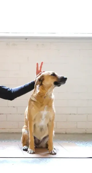 Dieser Anbieter hat keine Bildbeschreibung für dieses Bild hinterlegt