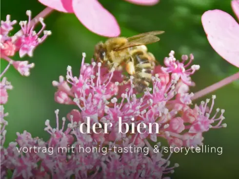 Der Bien - Vortrag mit Honig-Verkostung und Kurzgeschichte @ aurum loft