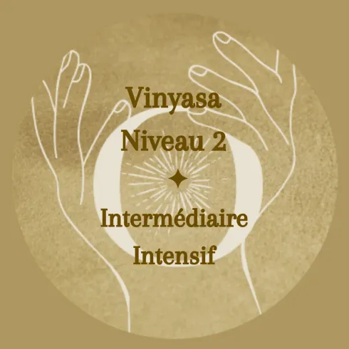 Vinyasa Niveau Intermédiaire @ Orya Studio - Yoga Lodge