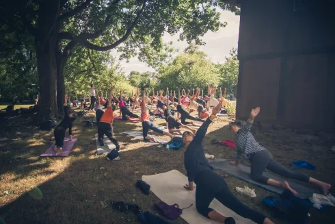 YOGA & MOVE Festival  @ Yogalounge Rotenburg