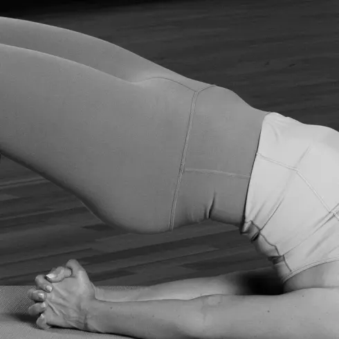 Hips don’t lie – Becken, Hüftgelenke und Co. in der Yogapraxis @ Om und Company