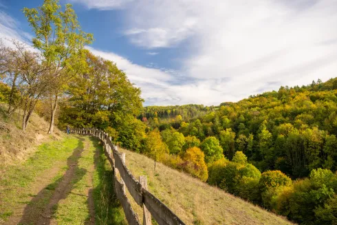 Yoga, Wandern & Picknick im Teutoburger Wald – Naturzeit unter Freunden @ Studio Yogaflow Münster