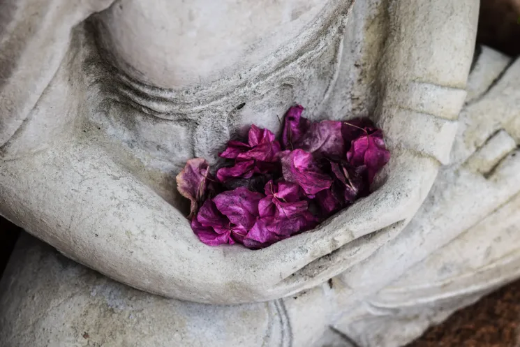+300h Pflichtmodul | Yoga Wisdom & Inner Practice: Philosophie (2 Wochenenden: 60h) @ Balance Group