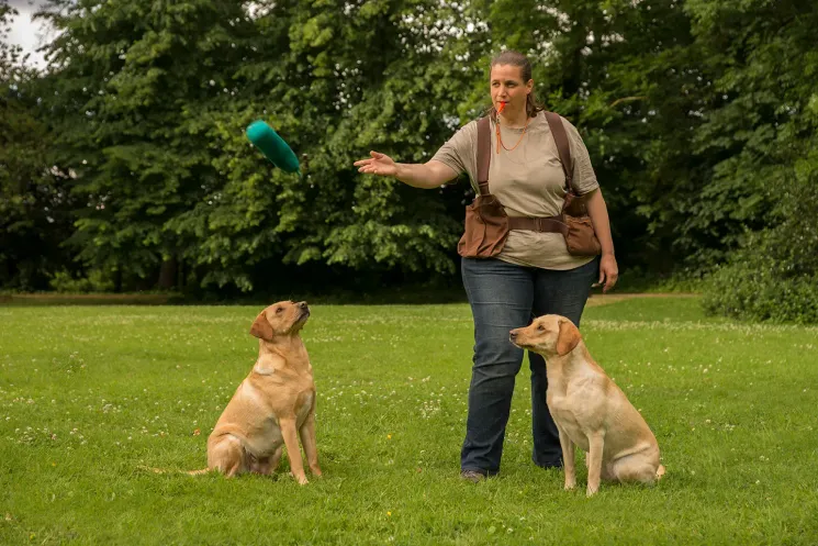 Apportieren von Grund auf: weitere Übungen @ Martin Rütter Hundeschule Wiesbaden / Main-Taunus-Kreis