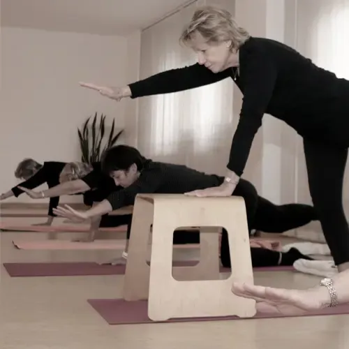 Präsenz: Yoga für die besten Jahre: Hatha Yoga Grundlagenkurs - Mittwoch 15.00 Uhr @ Yoga Institut München