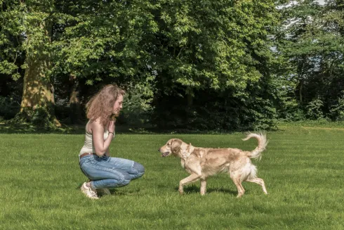 Junghundekurs Wü Sophie @ Martin Rütter Hundeschule Würzburg und Main-Tauber-Kreis