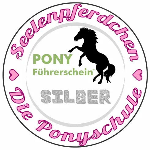 Pony-Führerschein Silber @ Ponyschule Seelenpferdchen
