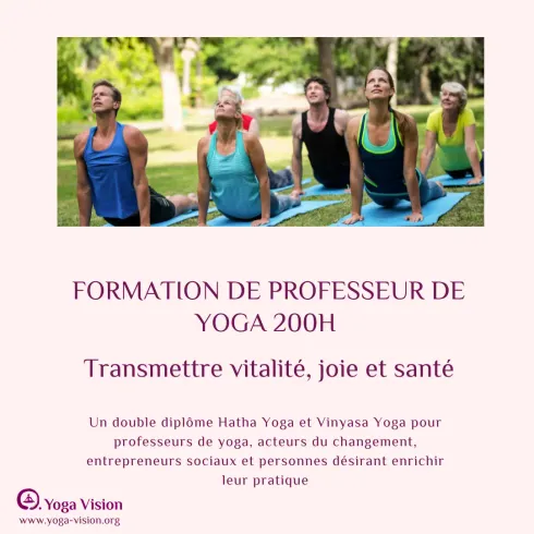Formation de professeur de yoga 200h Yoga Alliance @ Yoga Vision