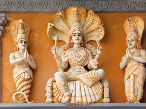 Le studio n'a pas fourni de description pour cette image