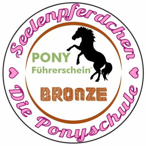 Pony-Führerschein Bronze @ Ponyschule Seelenpferdchen