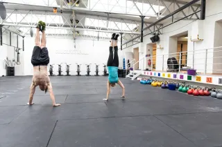 Dieser Anbieter hat keine Bildbeschreibung für dieses Bild hinterlegt