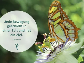 Anbieter Logo