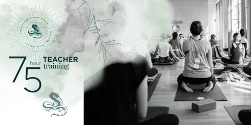 75h Jivamukti Teacher Training 22.11.2024 - 1.12.2024 @ Peace Yoga Berlin - Glogauer Straße