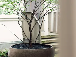 Dieser Anbieter hat keine Bildbeschreibung für dieses Bild hinterlegt