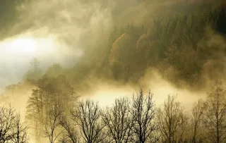 Dieser Anbieter hat keine Bildbeschreibung für dieses Bild hinterlegt